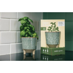 Modern Sprout Glow & Grow Live Well Gift Set